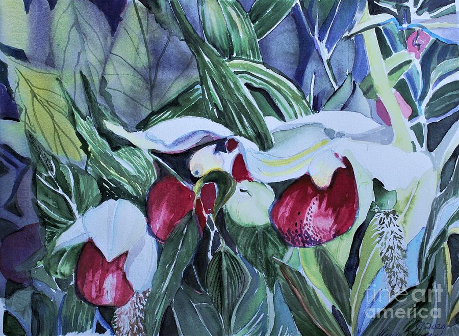 Ohios Pink Slipper Foot Orchid Painting by Mindy Newman