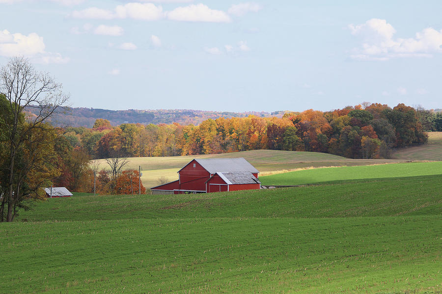 Ohio's Tranquility Photograph by Linda Goodman - Fine Art America