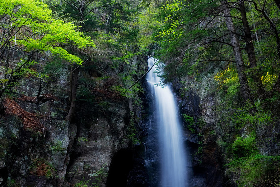 Ohtaki Falls Photograph by Isogawyi