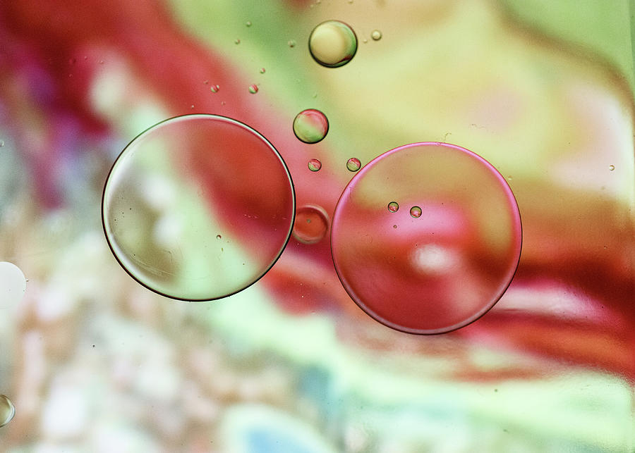 Oil and Water Abstract Green and Red Photograph by Amelia Pearn