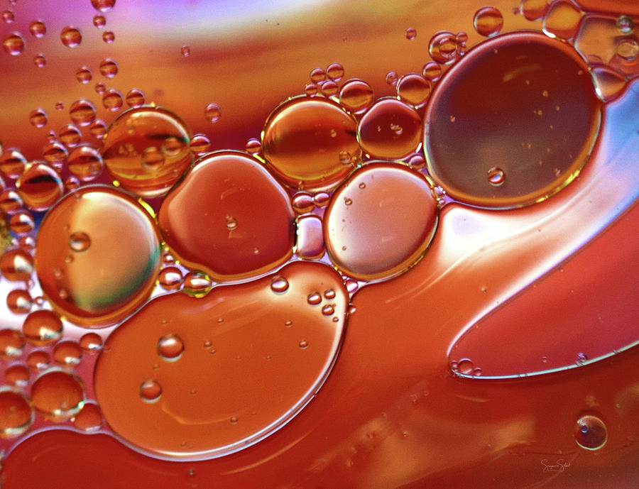 Oil And Water Abstract Photograph by Suzanne Stout