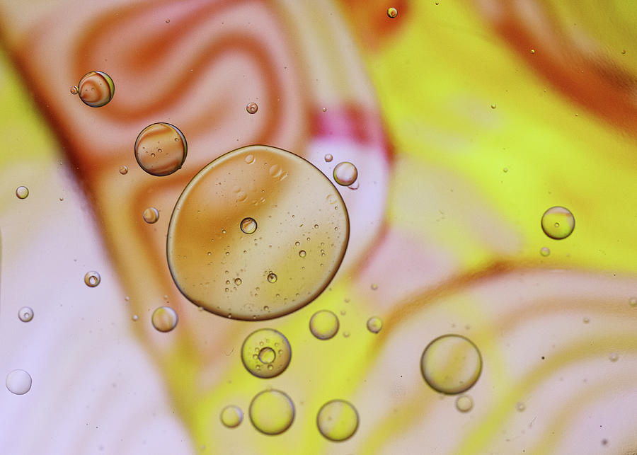 Oil and Water Abstract Yellow Photograph by Amelia Pearn