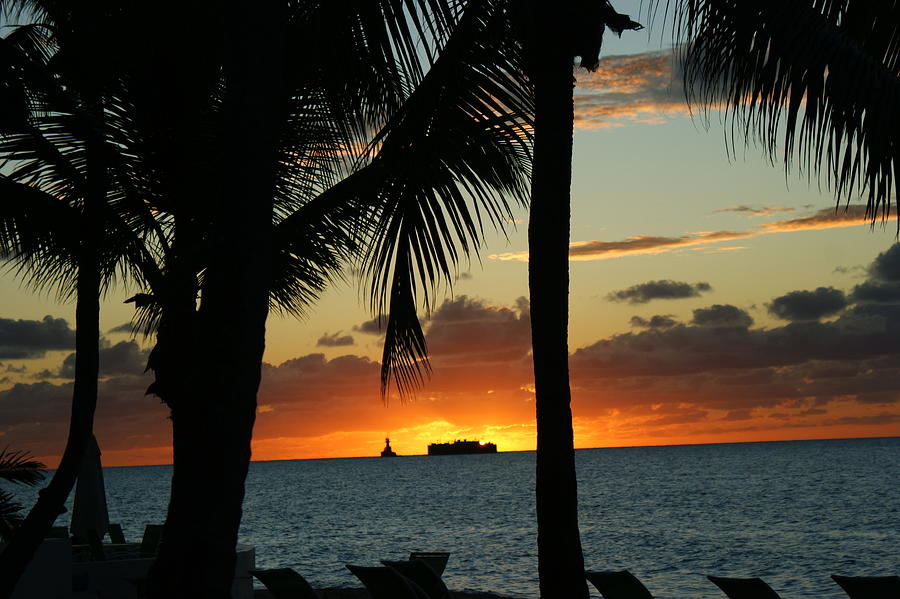Oil Barge at Sunset Photograph by Segura Shaw Photography