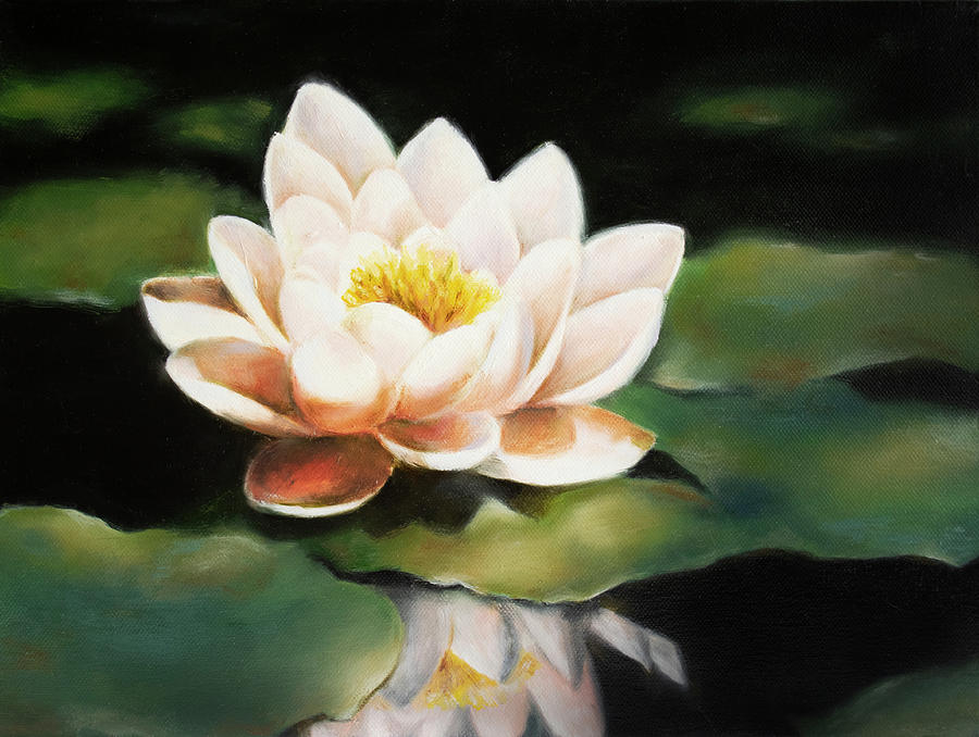 Oil paintings White sacred lotus reflected from the water surface of ...