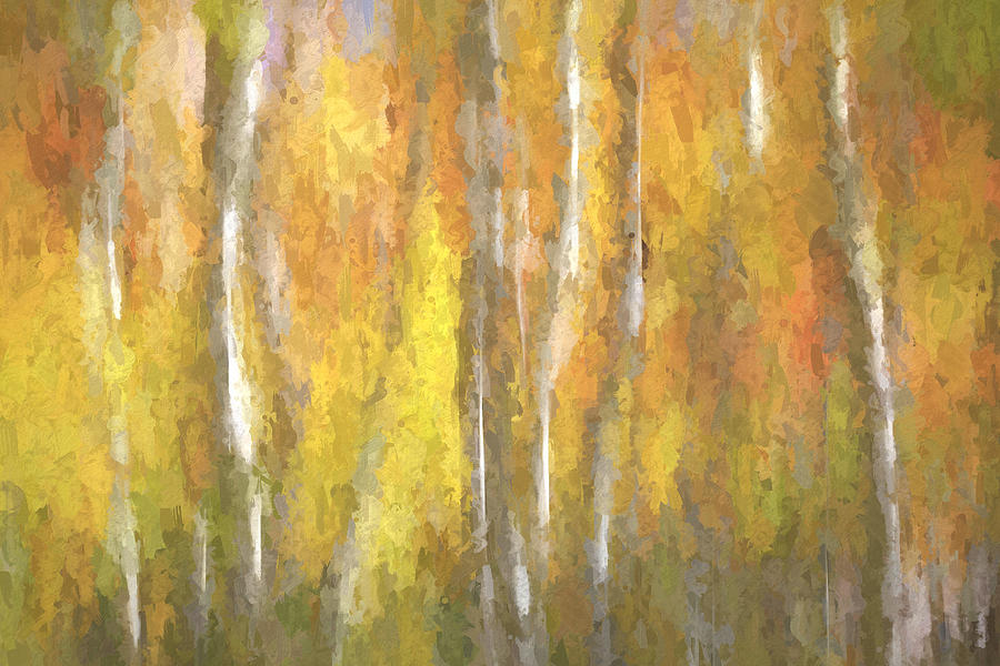 Oil Pastel Aspens Photograph by Donna Kennedy