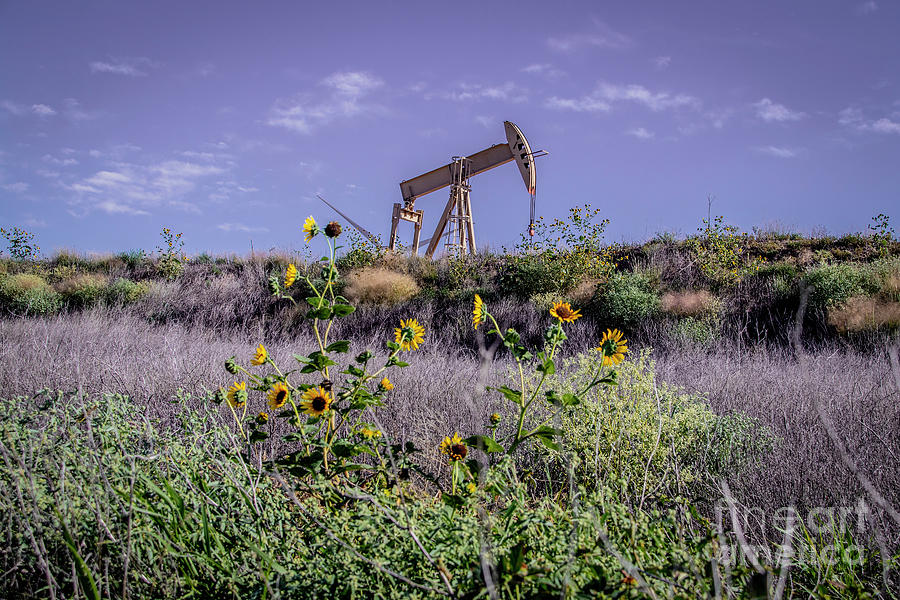 Oil well in field with flowers Photograph by Susan Vineyard