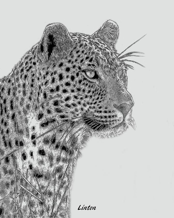Leopard Digital Art - Okavango Leopard by Larry Linton