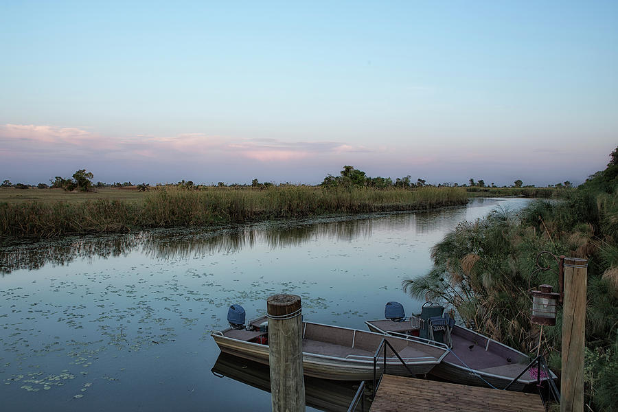 Okavango River Tributary in the Okavango Delta Photograph by Belinda Greb
