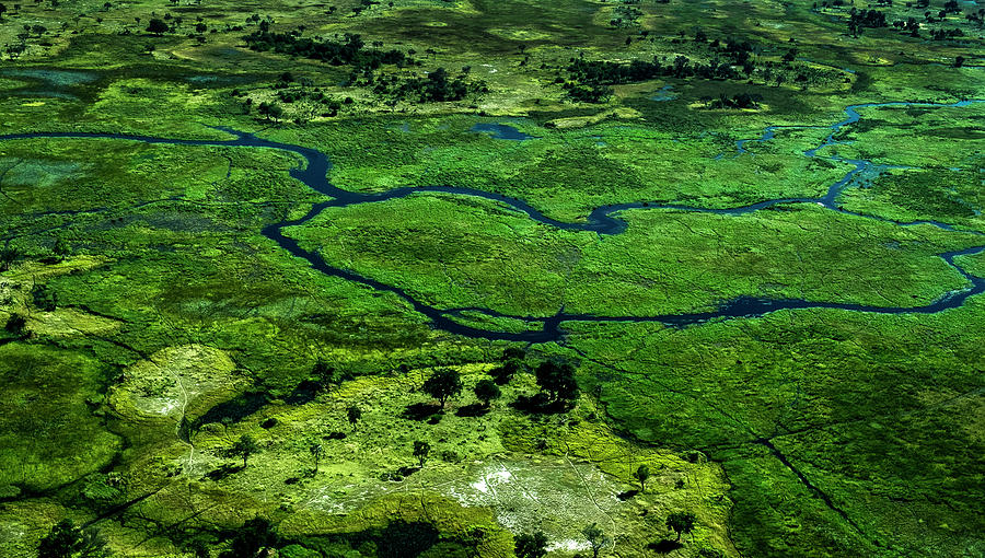 Okawango #2 Photograph by Stefan Knauer
