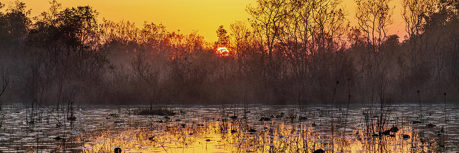 Okefenokee Sunrise Panorama Photograph by Stefan Mazzola