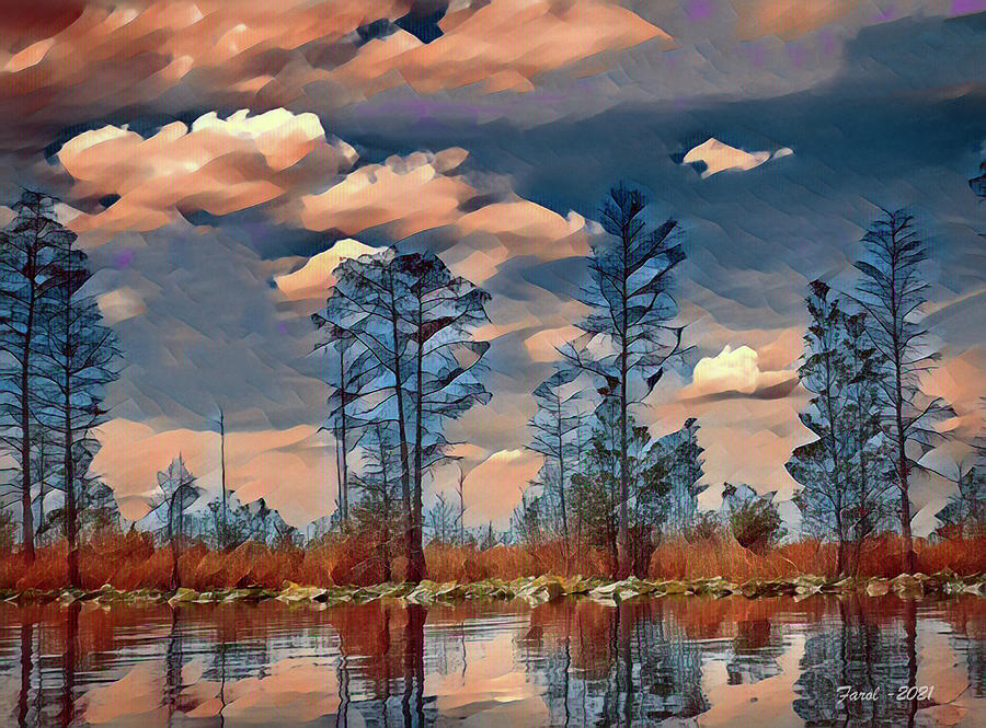 Okefenokee Swamp Photograph by Farol Tomson