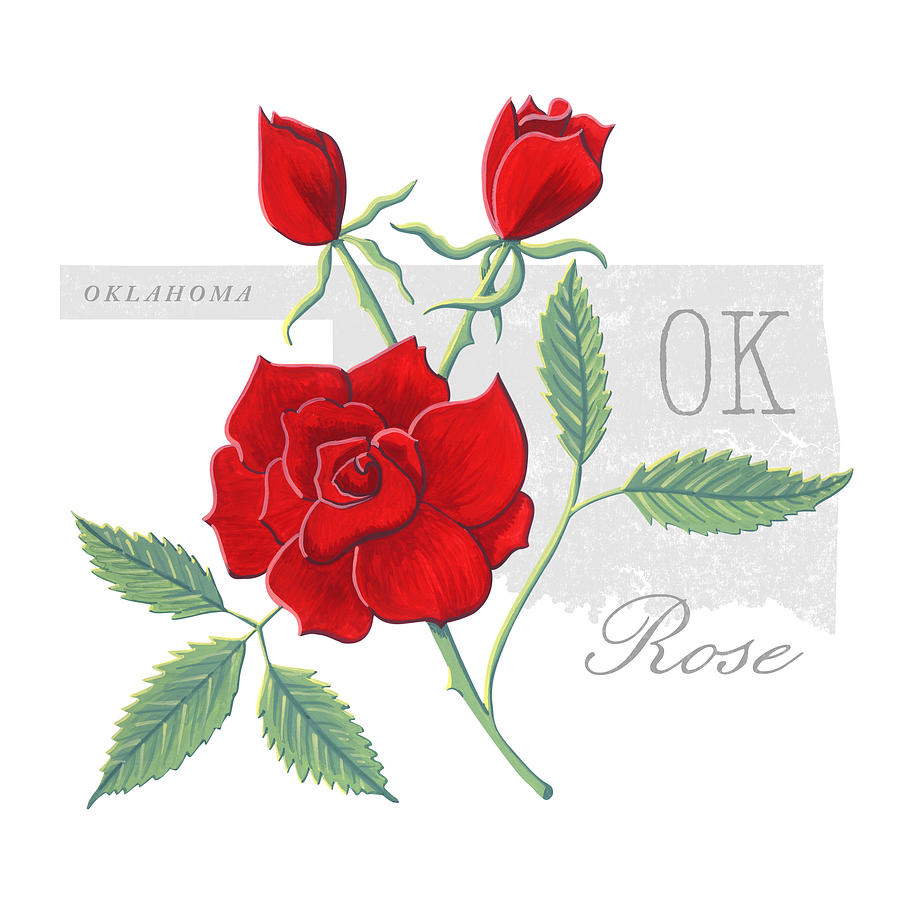 Oklahoma State Flower Rose Art by Jen Montgomery Painting by Jen Montgomery