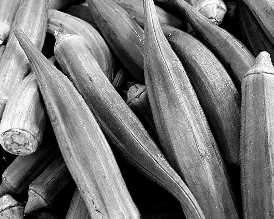 Okra BW Photograph by Lee Darnell