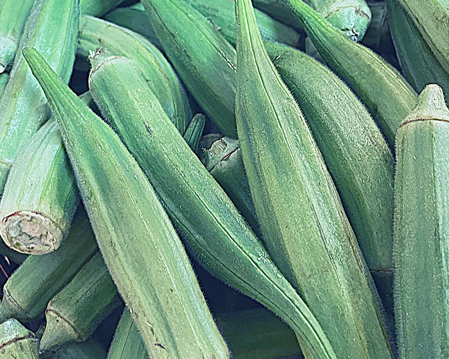 Okra Photograph by Lee Darnell