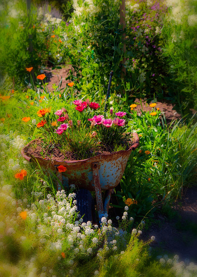Ol Flower Barrow by Mike-Hope Photograph by Michael Hope
