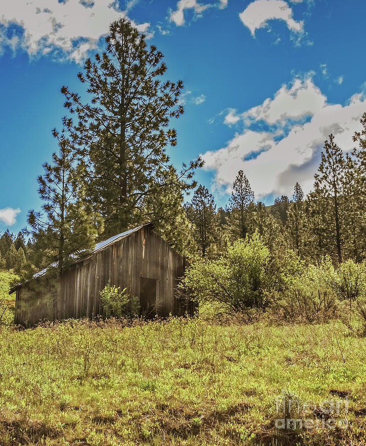 Ola Valley Homestead Photograph by Robert Bales Pixels