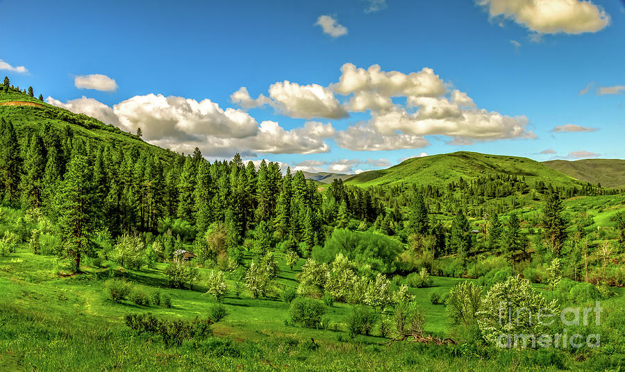 Ola Valley Photograph by Robert Bales Pixels