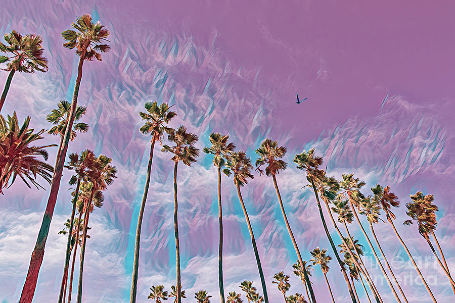 Palm Trees Against Pastel Pink Sky Photograph by Roslyn Wilkins