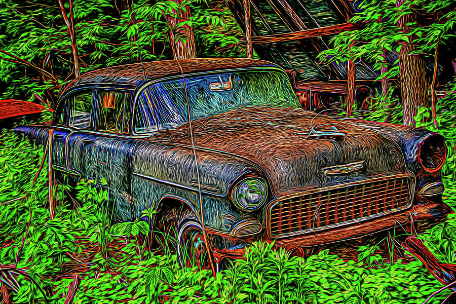 Old, Abandon Car Photograph by Alan Goldberg