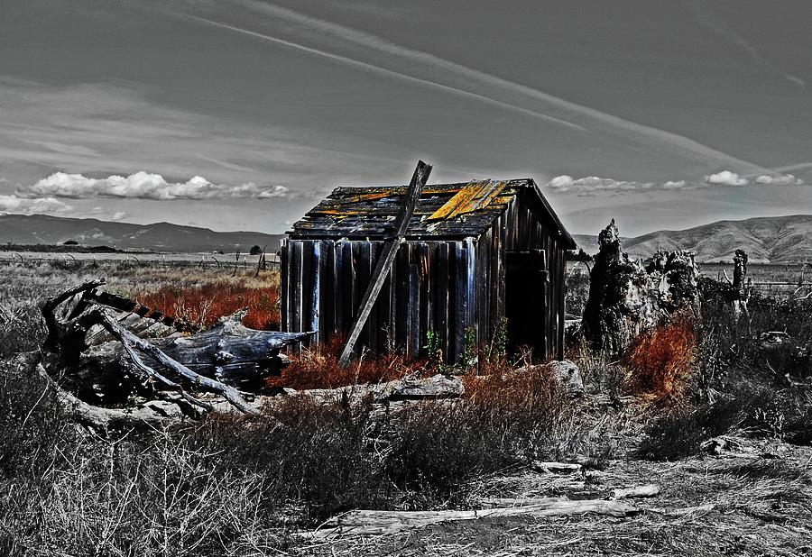 Old Abandon Tool shed  Digital Art by Fred Loring
