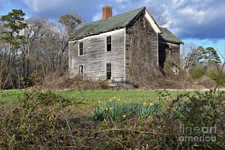 Old Abandoned Farm House Photograph by Julie Adair