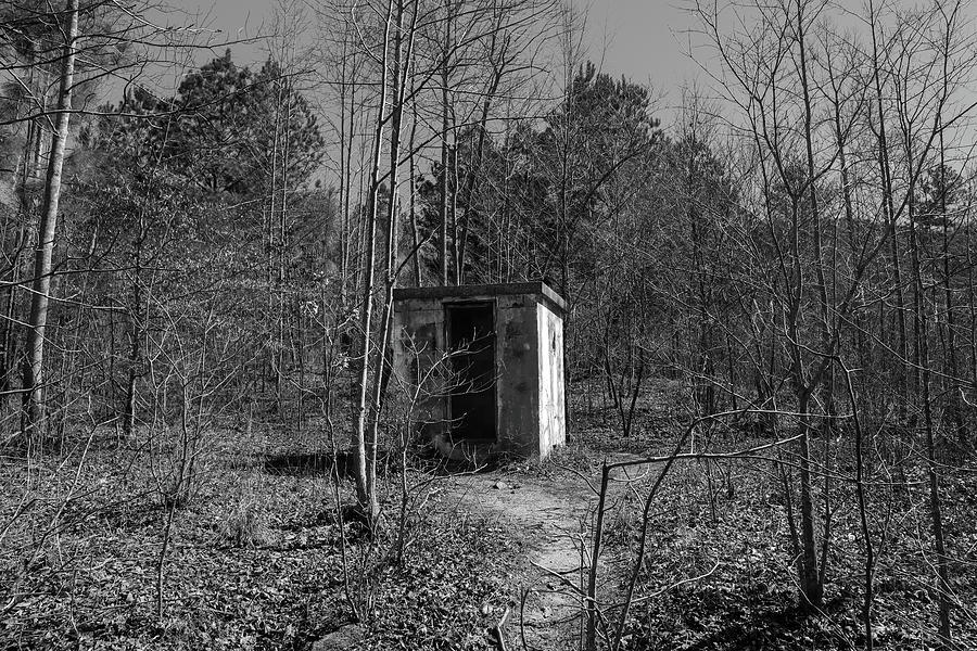 Old Abandoned Forest Shed Photograph by Ed Williams