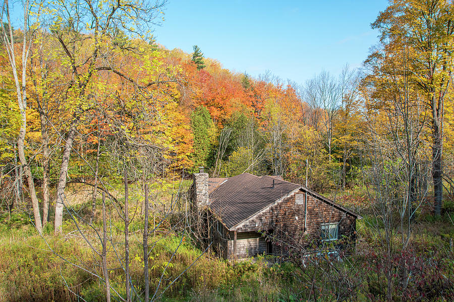 Old Abandoned House In The Woods Photograph