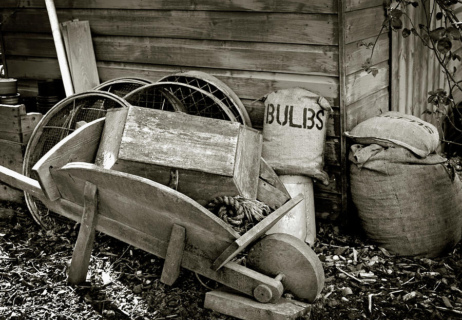 Old  Agriculture Tools  Photograph by Severija Kirilovaite