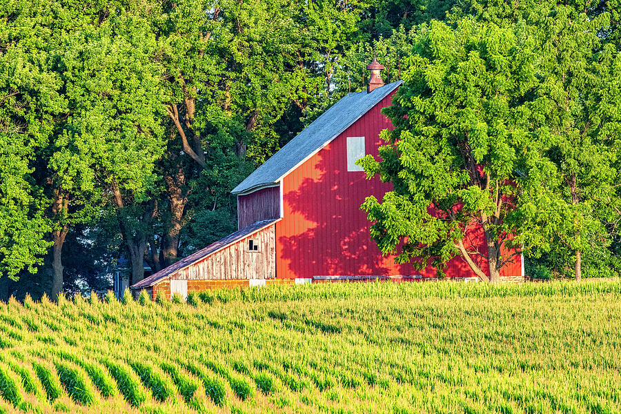 Old Amish Barn Photograph by Andy Crawford - Fine Art America