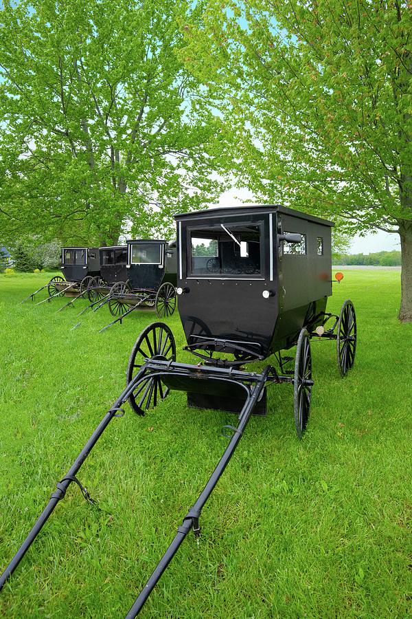 Old Amish Buggy-Northern Indiana Photograph by William Reagan - Fine ...