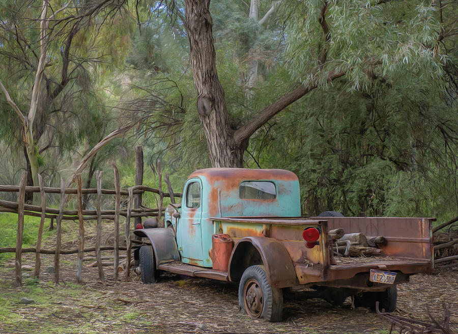Rural Scene Photograph - Old and Rugged Truck  by Sylvia Goldkranz