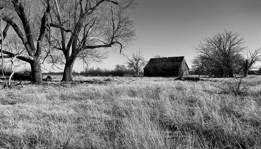Old Barn - Black Kettle Grasslands, Hemphill County, Texas Photograph by Richard Porter