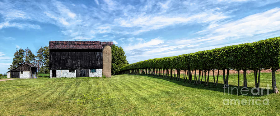 Old Barn 1840s with English Style Hedgerow Photograph by Barbara McMahon