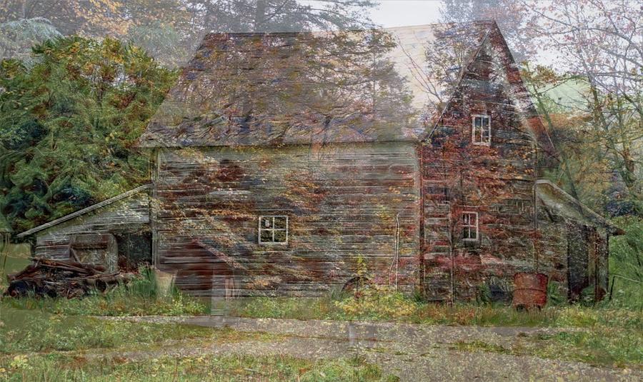 Old Barn And Forest Digital Art