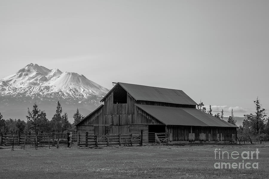 Barn Photograph - Old Barn And Mt. Shasta BW by Suzanne Luft