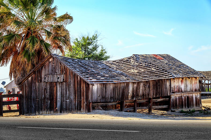 Old Barn And Palm Tree Photograph by Gene Parks