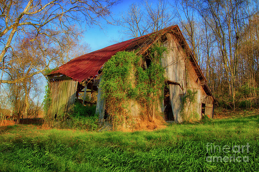 Old Barn at Fall Creek Photograph by Shelia Hunt