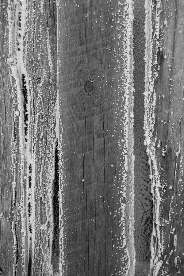 Abstract Photograph - Old Barn Boards On A Frosty Morning by Phil And Karen Rispin