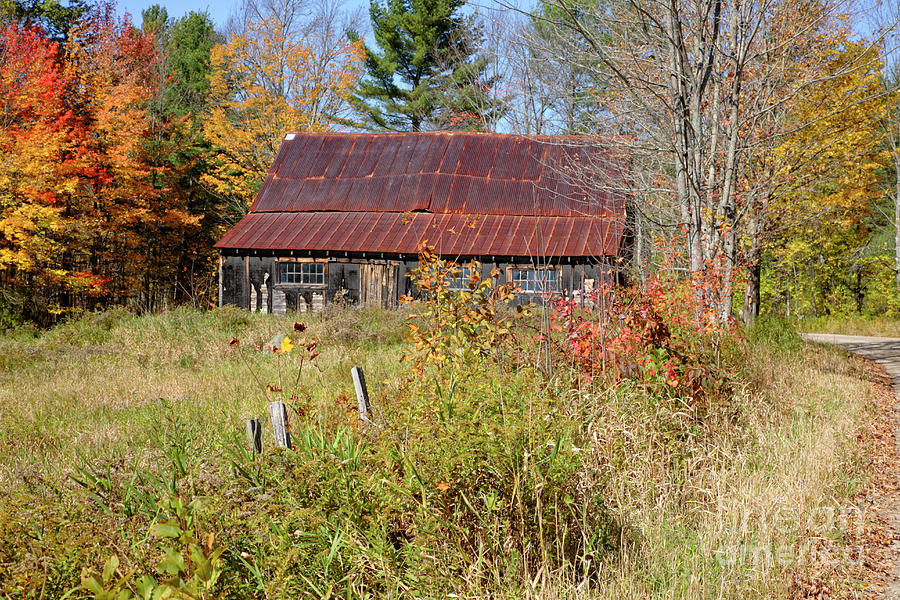 Old Barn - Campton New Hampshire Photograph by Erin Paul Donovan