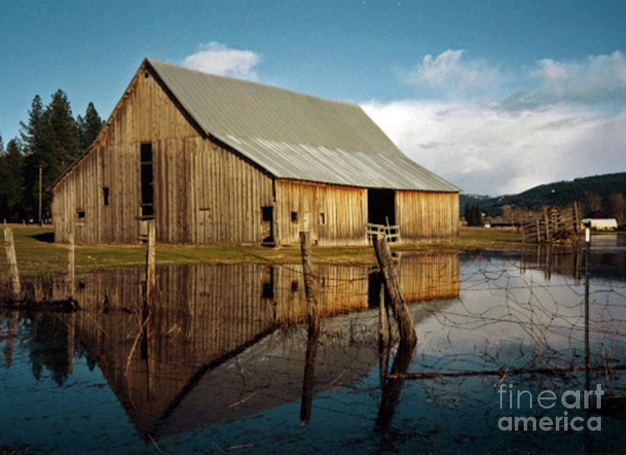 Old Barn Photograph by Cindy Murphy