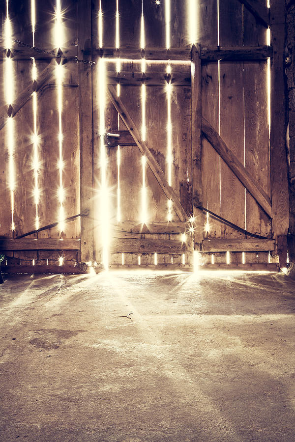 Old barn door - Sunlight Wood Photograph by ThomasVogel