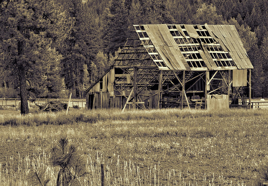 Old Barn Fallin in  Photograph by Cathy Anderson