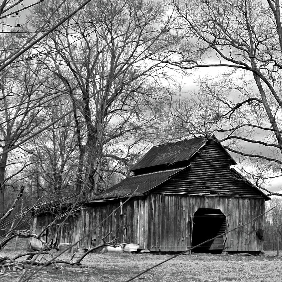 Old Barn In A Field 005 bw 1 Photograph by George Bostian - Pixels