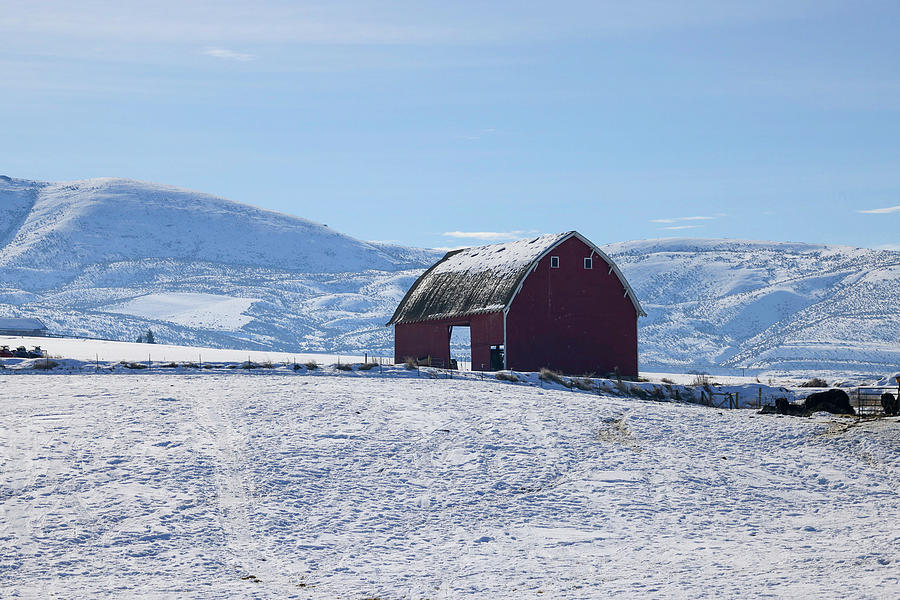 Old Barn In A Snowy Field Photograph