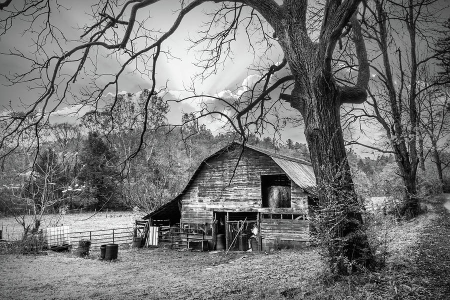 Old Barn in Autumns Embrace in Black and White  Photograph by Debra and Dave Vanderlaan