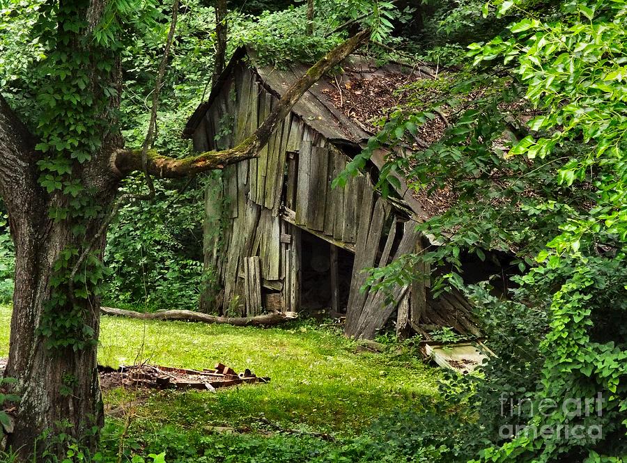 Old Barn in Corning, Indiana Photograph by Julie Dant