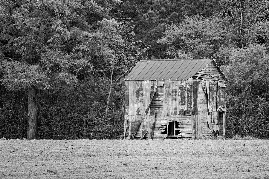 Old Barn in Eastern NC Photograph by Bob Decker