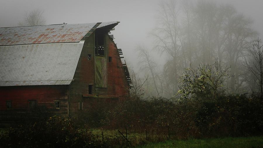 Old Barn in Fog Photograph by KATIE Vigil
