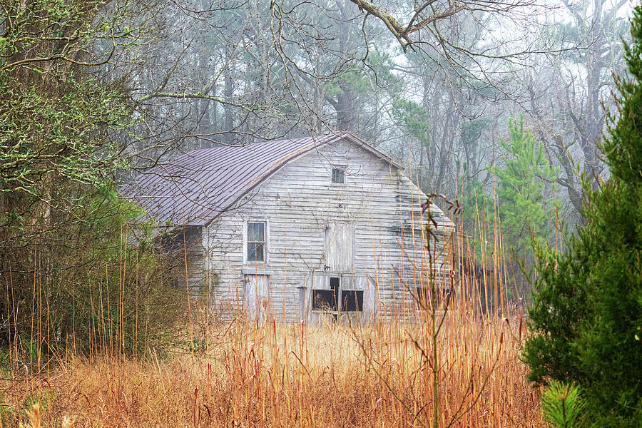 Old Barn in Fog - Pamlico County North Carolina Photograph by Bob Decker
