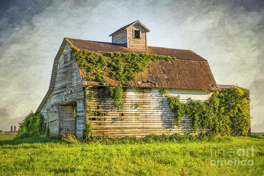 Old Barn in Iowa Photograph by Lynn Sprowl